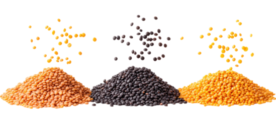 Three piles of lentils and beans isolated on transparent background