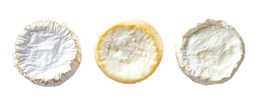 Three cuttlefish bones isolated on transparent background