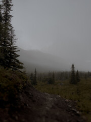 fog in the mountains