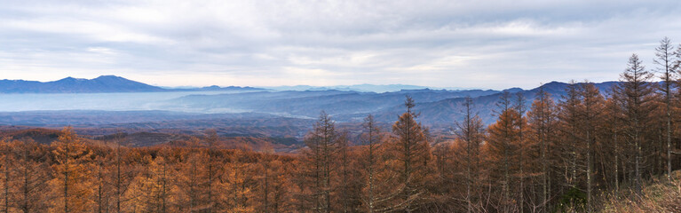 日本：浅間山と霞がかかった佐久市街地をバックに紅葉した森のパノラマ【メルヘン街道・ふるさとの森】長野県小海町・11月