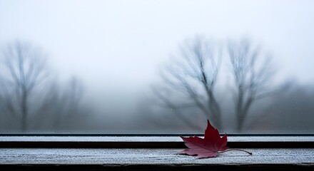 Vibrant Red Maple Leaf Resting on a Frosted Window Sill in Winter