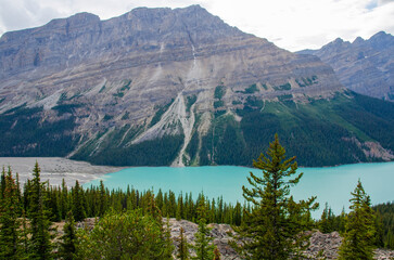 Peyto Lake in Banff National Park