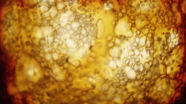 Abstract cinematic effect simulating a severe film burn or melt, starting with a yellowish-orange screen that rapidly develops a large, bright white circular shape surrounded by dark, bubbling, and fl