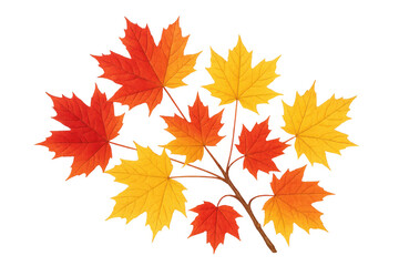Branch with maple foliage displaying vibrant red, orange, and yellow autumn colors. Transparent background