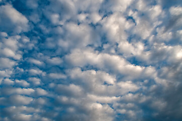Fluffy Clouds