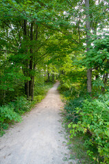 Nature Trail through woods