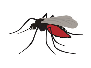 Malaria Causing Mosquitoes Insect