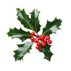 A single holly berry with green leaves on a white background.