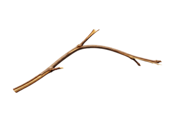 A single dry, curved tree branch with natural texture and rustic appeal, perfect for design elements, botanical illustrations, or adding an organic touch, isolated on transparent background