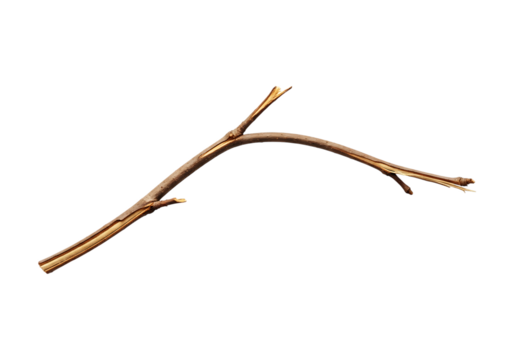 A single dry, curved tree branch with natural texture and rustic appeal, perfect for design elements, botanical illustrations, or adding an organic touch, isolated on transparent background