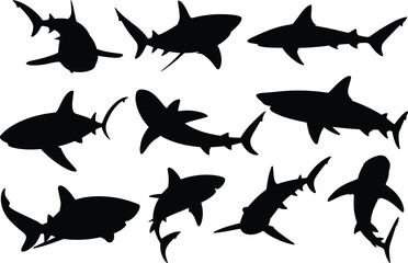 Fototapeta premium Comprehensive vector silhouette collection of various shark species, isolated black marine predators for ocean danger and wildlife illustration.