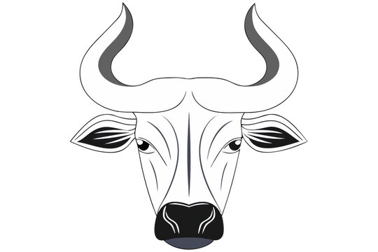 Outline drawing of a gaur bull head with large curved horns isolated on transparent background
