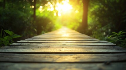 A wooden walkway leading into a lush green forest with sunlight filtering through the trees.
