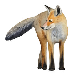 Obraz premium Hand drawn fox cub. Winter woodland baby animals clipart. Watercolor illustration.