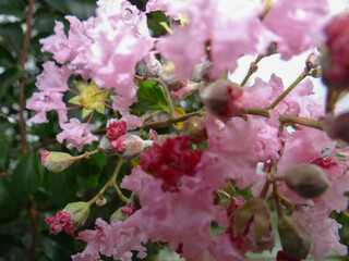 Fototapeta premium Sun peeking through mountains at sunrise over city