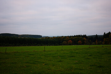Obraz premium rural landscape in Luxembourg on a ward evening