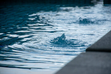 water splash in water