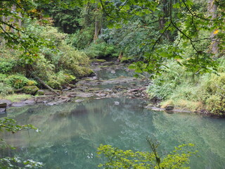 Autumn River in the Oregon Forrest