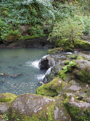 Autumn River in the Oregon Forrest