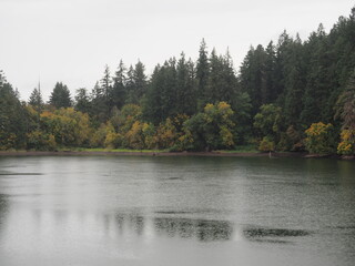 Autumn River in the Oregon Forrest