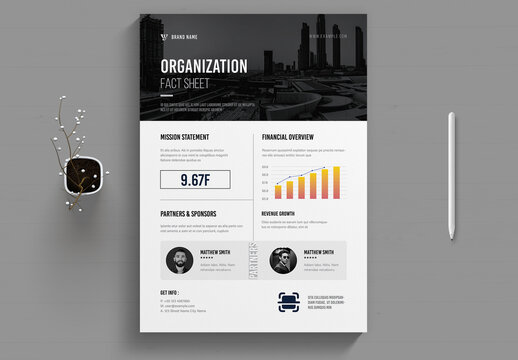 Organization Fact Sheet Template
