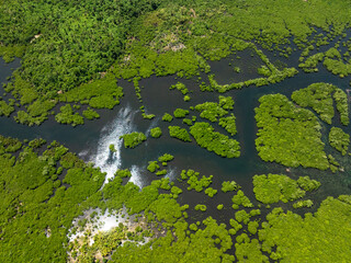 Green mangrove forest intersected by winding dark water channels under bright sun reflections. Siargao, Philippines.