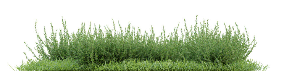 3d Green Grass in a Natural Outdoor Setting with Vibrant Vegetation and Peaceful Atmosphere