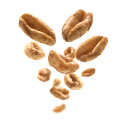 Aerial wheat levitates on a white background
