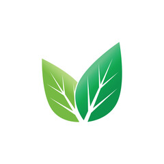 Green Leaf logos vector and symbol