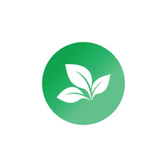 Green Leaf logos vector and symbol