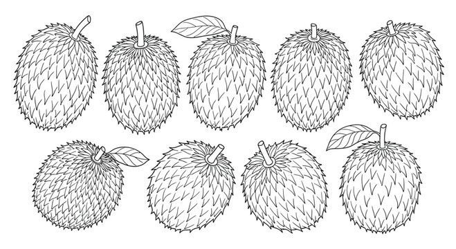 Hand drawn illustration of ten soursops isolated on white background