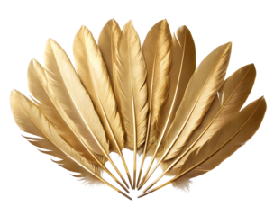 Golden Feathers Fan Arrangement isolated on a transparent background