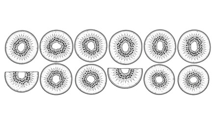 Kiwi fruit slices isolated on white background, hand drawn vector illustration