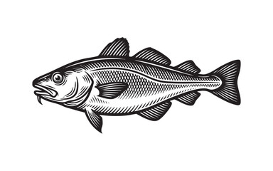 cod fish Engraving Vector Illustration