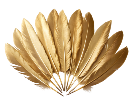 Golden Feathers Fan Arrangement isolated on a transparent background