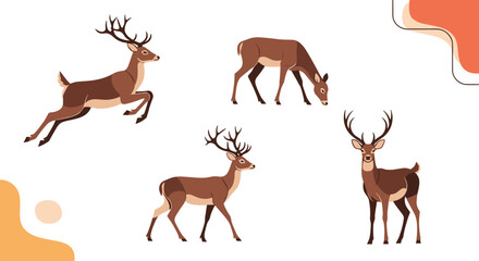 Naklejka premium Set of four brown deer in different poses including jumping grazing walking and standing on a clean white design background.