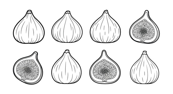 Eight figs isolated on white background in a row pattern and halves