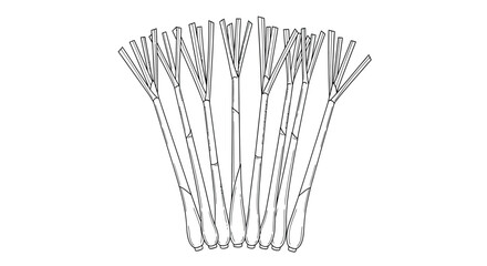 Hand drawn illustration of a bunch of bamboo skewers isolated on white background