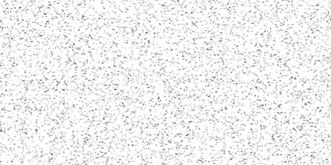 Fototapeta premium seamless ink quart grunge white wall concrete mosaic splatter distressed black and white terrazzo floor tail bathroom, kitchen limestone texture. 