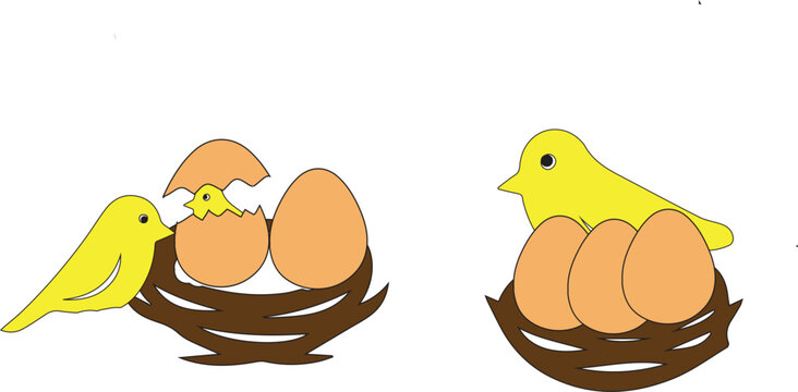 yellow bird incubating its eggs in a nest.icon 