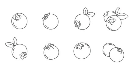 Set of eight blueberry icons isolated on white background in outline style