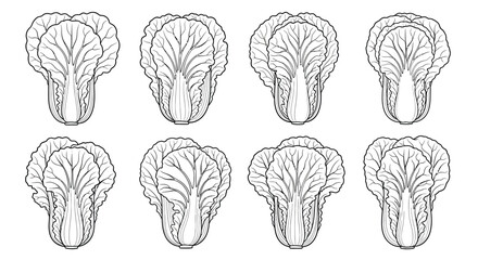 Hand drawn illustration of bok choy isolated on white background