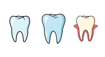 Illustrative depiction of healthy and decaying teeth showcasing dental health stages
