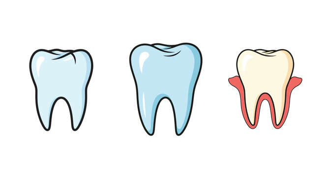 Illustrative depiction of healthy and decaying teeth showcasing dental health stages
