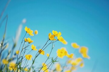 A vibrant field of yellow flowers under a clear blue sky, with tall green grasses swaying gently in the breeze.