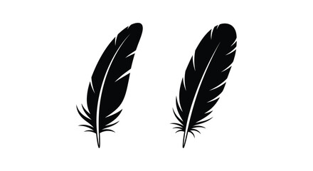 Fototapeta premium Two black feathers isolated on a white background simple graphic design