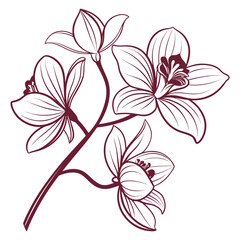 Outline illustration of a branch with three orchid flowers floral botanical