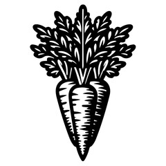 Three stylized carrots with detailed leaves in black and white vector illustration design art