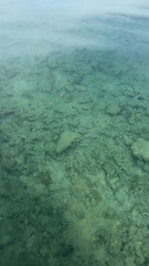 aerial view of the sea