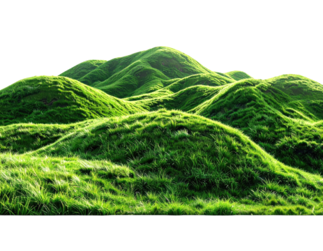 Rolling, grassy hills under bright sunlight